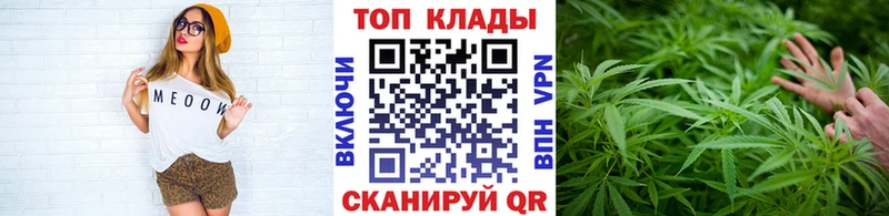 Купить наркотик Волосово Псилоцибиновые грибы  КОКАИН 