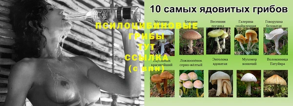 мдма Богданович