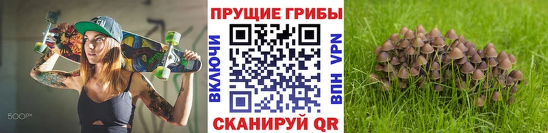 Галлюциногенные грибы прущие грибы Волосово