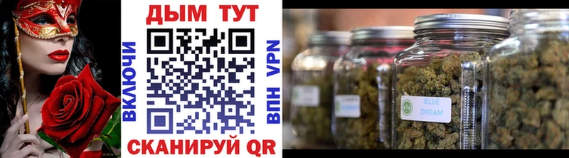 как найти наркотики  Волосово  Каннабис тримм 